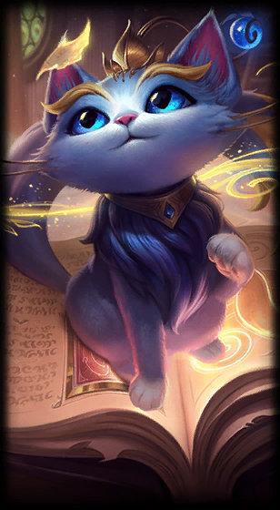 关注球员的 关注球员的