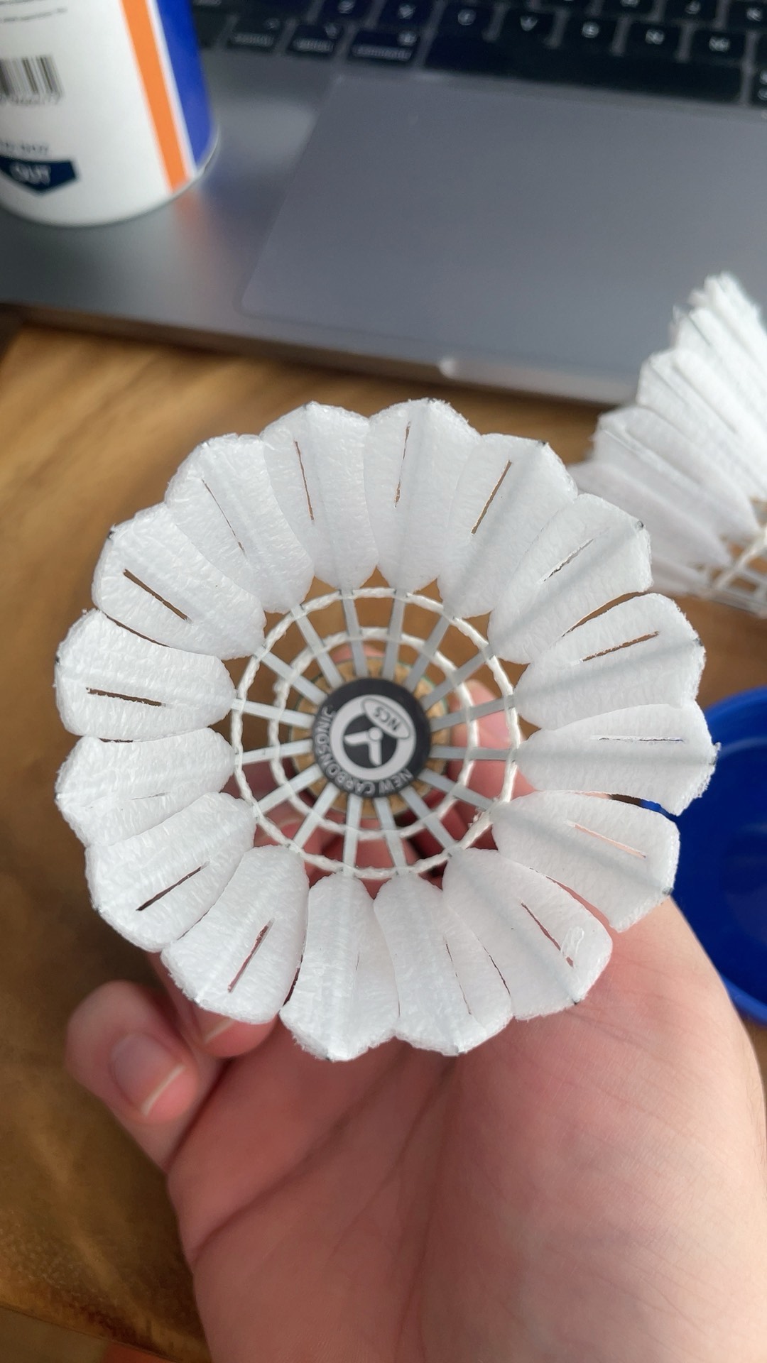 足球运动 足球运动