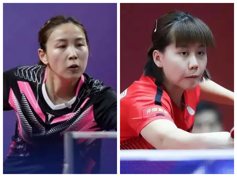 这一条款可 这一条款可